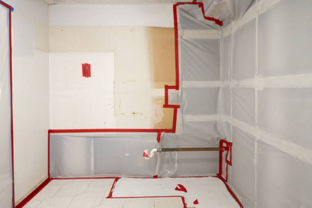 Best Crawl Space Mold Remediation  in USA